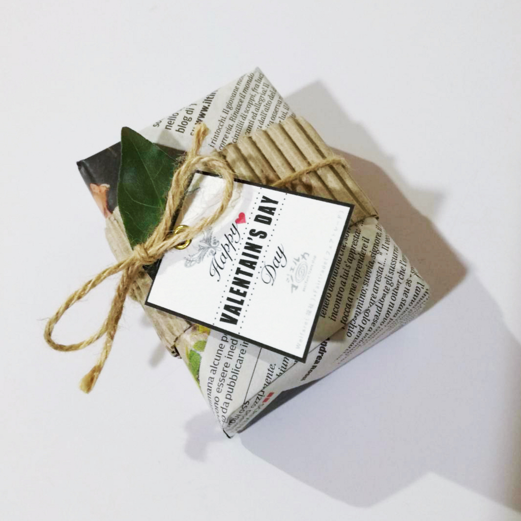 f:id:majerca:20180127194042j:plain