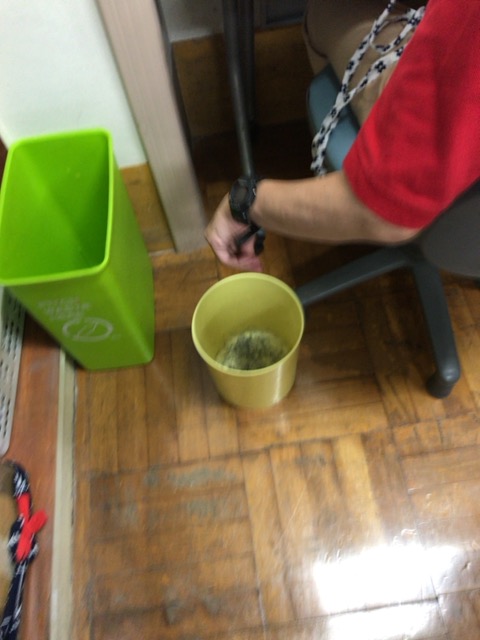 f:id:majerca:20180809184858j:plain