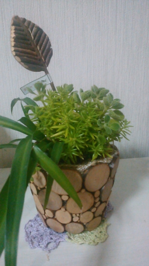 f:id:majerca:20180812121935j:plain