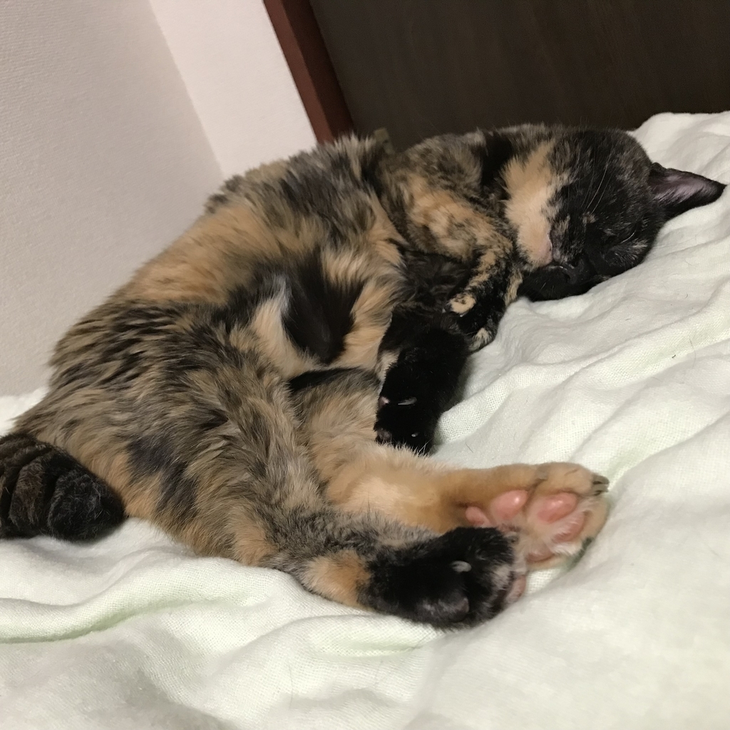 f:id:majerca:20180911010042j:plain