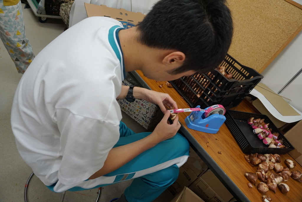 f:id:majerca:20180924161646j:plain f:id:majerca:20180924161646j:plain