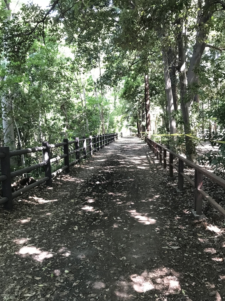 f:id:majerca:20181004001520j:plain