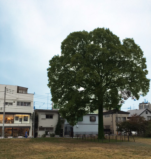 f:id:majerca:20181109170921j:plain