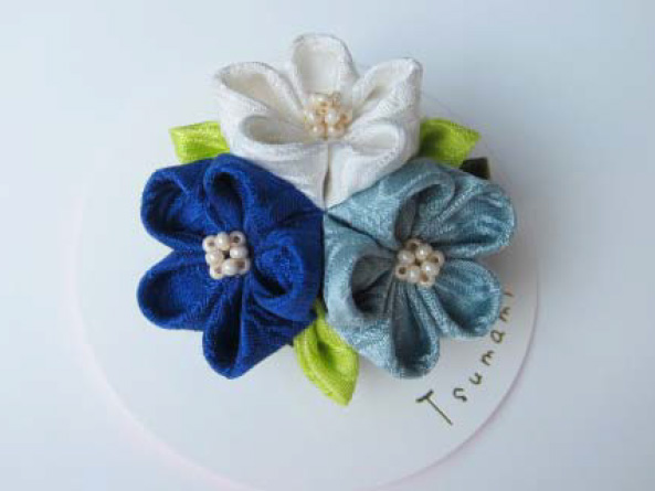 f:id:majerca:20190125213346j:plain