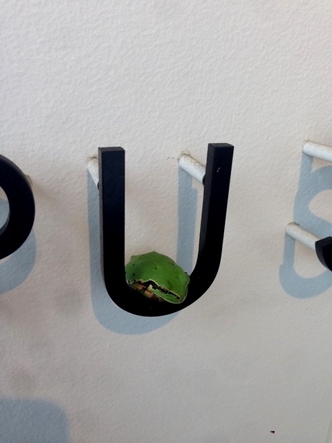 f:id:majerca:20190131134253j:plain