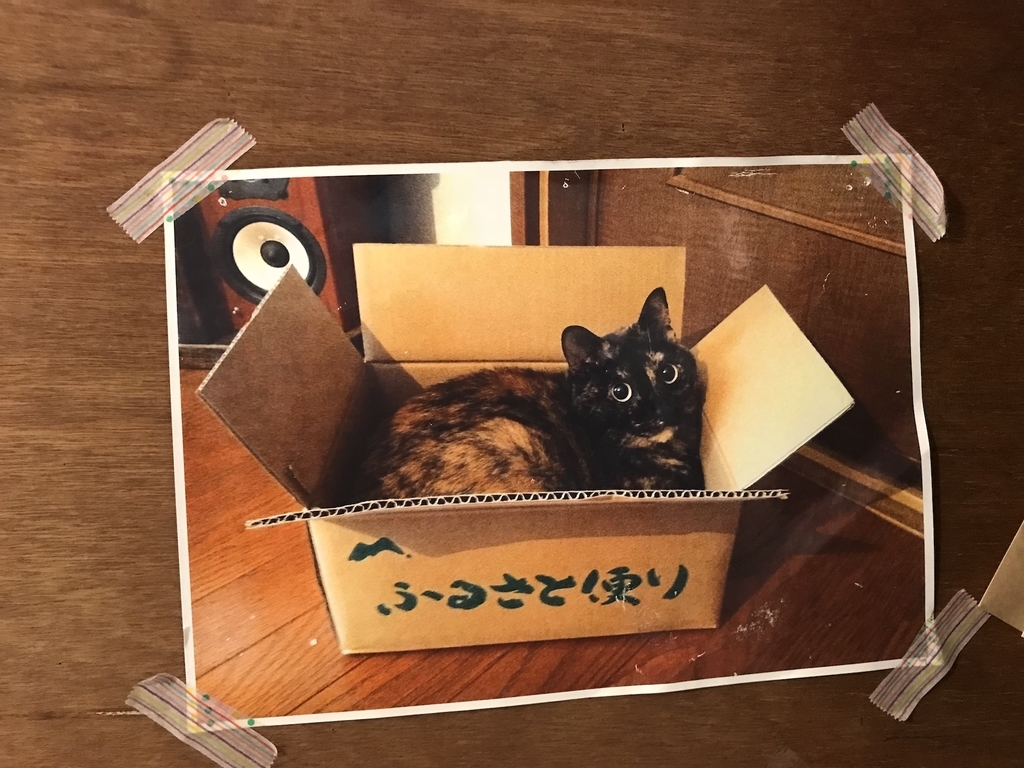 f:id:majerca:20190222163202j:plain