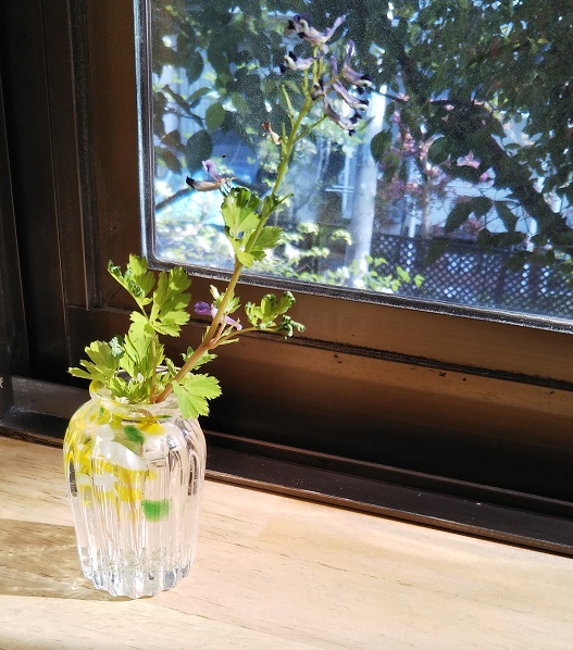 いつでも帰っておいで