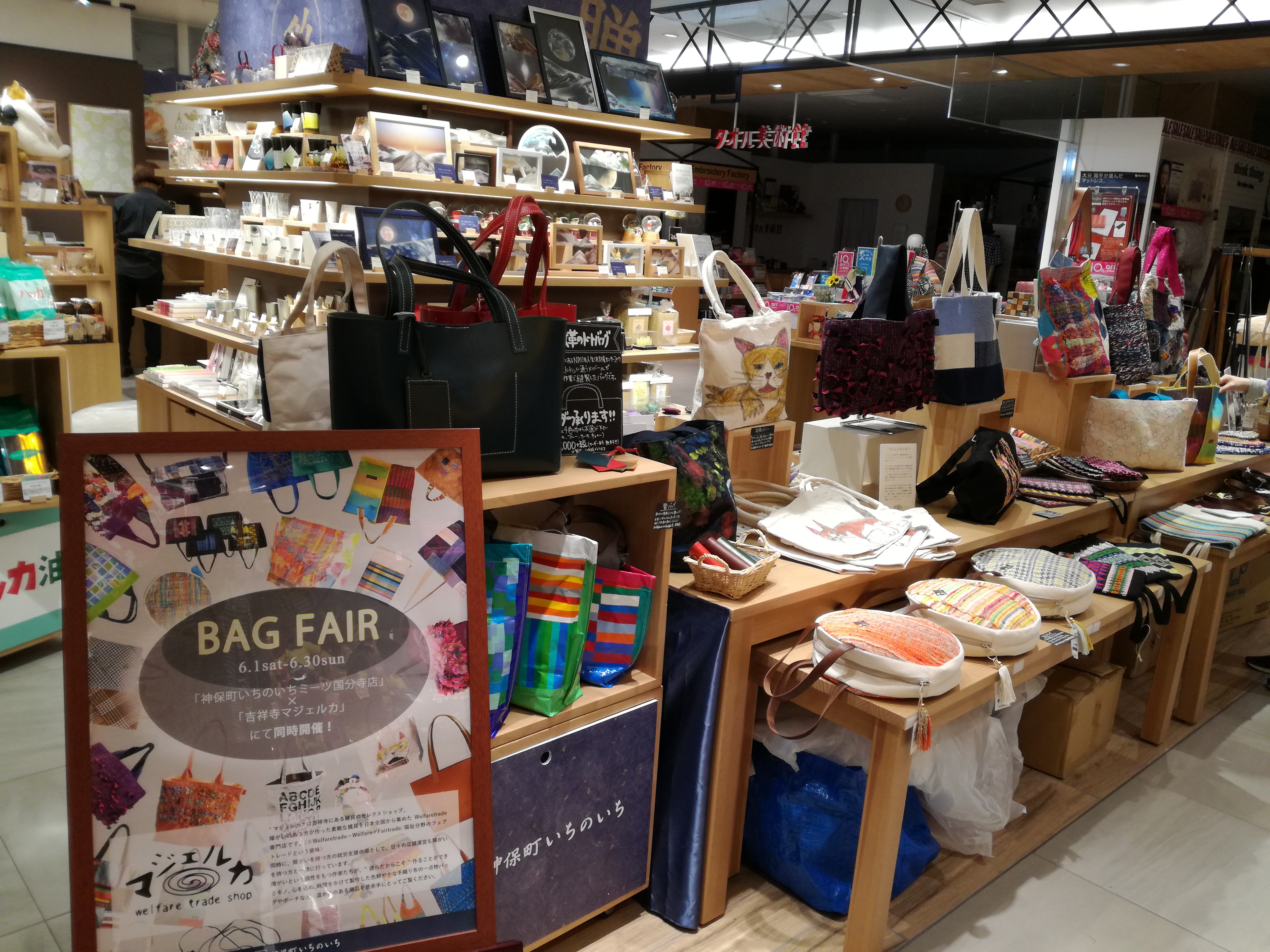 はじまりましたー！！！