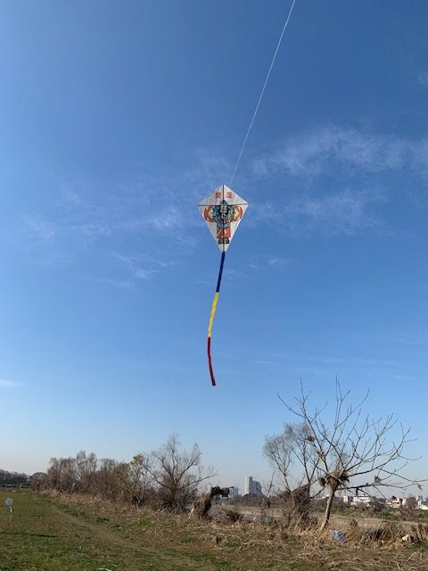 飛躍の年となりますように！！（いまさら）